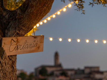La Conca de Barberà celebra aquest cap de setmana Benvinguts a Pagès La Festa 2025 amb una oferta única per descobrir el món rural i els seus sabors image 6