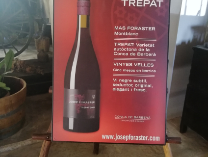 La Conca de Barberà celebra aquest cap de setmana Benvinguts a Pagès La Festa 2025 amb una oferta única per descobrir el món rural i els seus sabors image 5