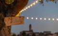 La Conca de Barberà celebra aquest cap de setmana Benvinguts a Pagès La Festa 2025 amb una oferta única per descobrir el món rural i els seus sabors image 6