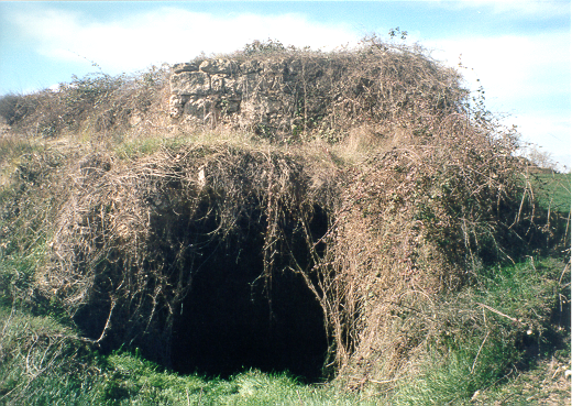 Molí vell de l'andreu 