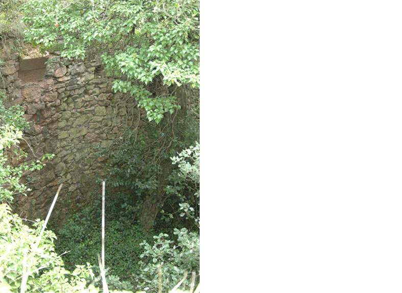 Pou de gel de mas mateu 