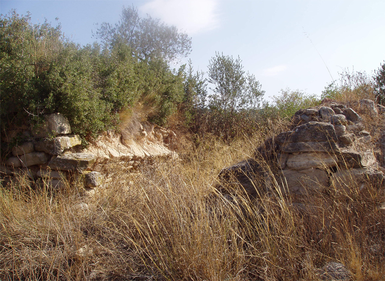 Església de sant bernat del codoç 