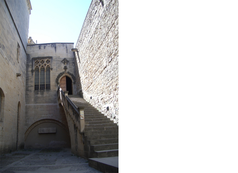 Palau reial de martí i "l'humà" 