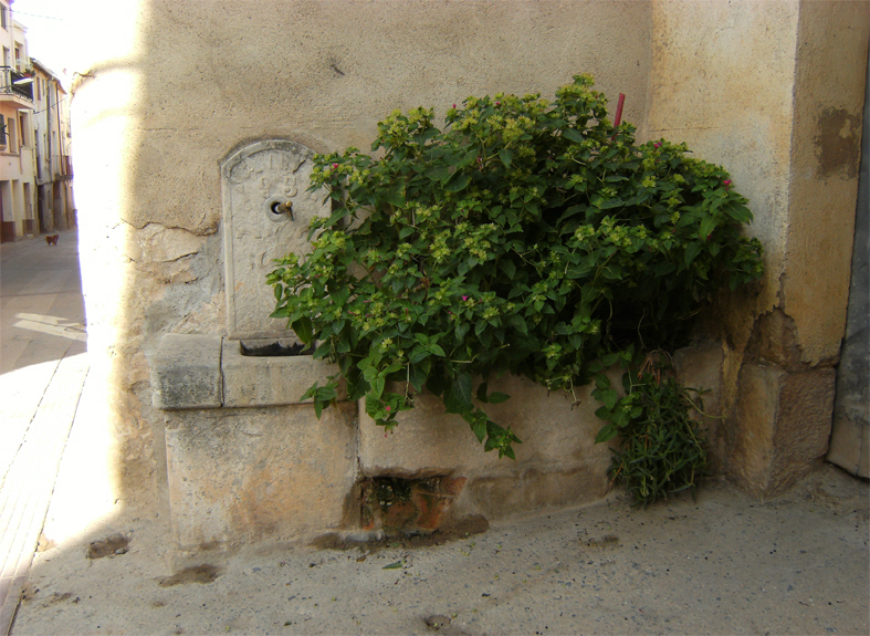 Font del raval de roselló 
