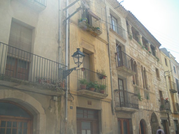 C. major, 24   cal masdeu 