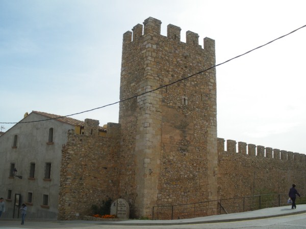 Torre 20, darrere cal cardús 