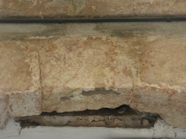 C. major, 15   ca peret 