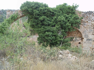 Mas i molí de llorac 