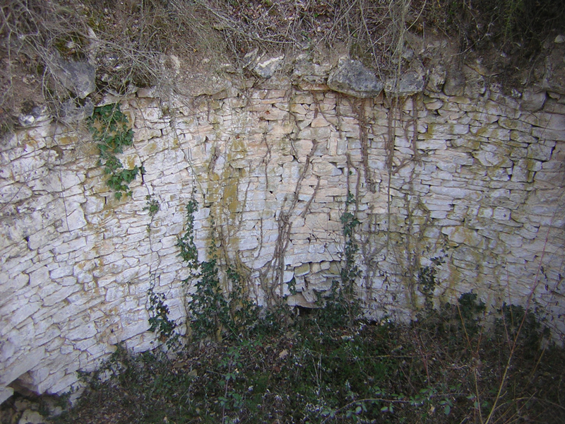 Pou del gel dels capellans 