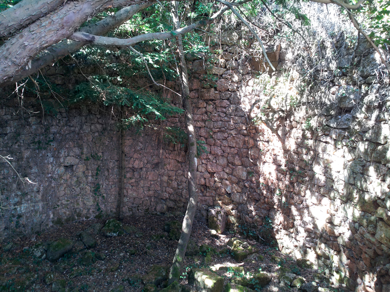 Pou de gel dels cogullons 