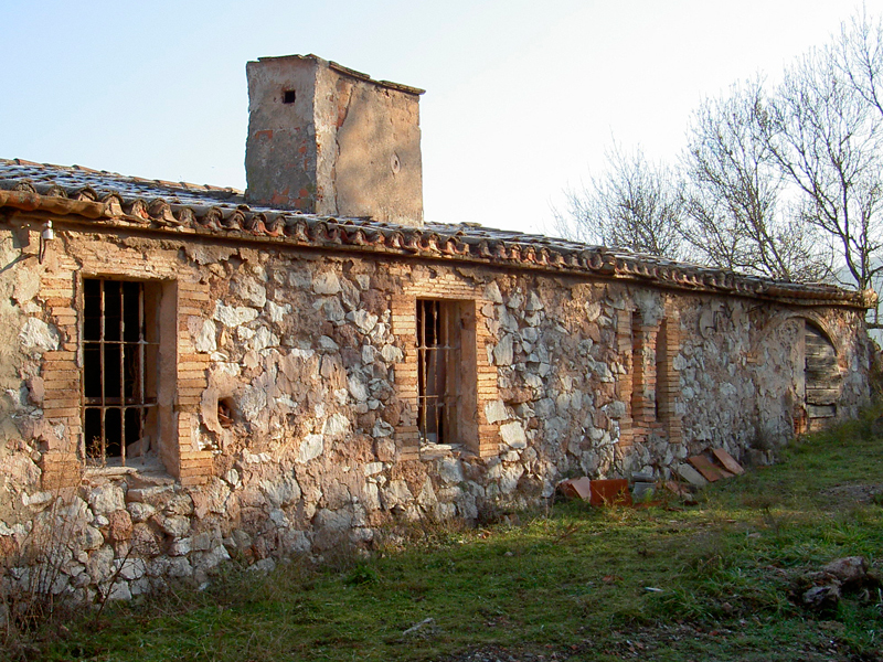 Guixera del tòfol o del robusté 