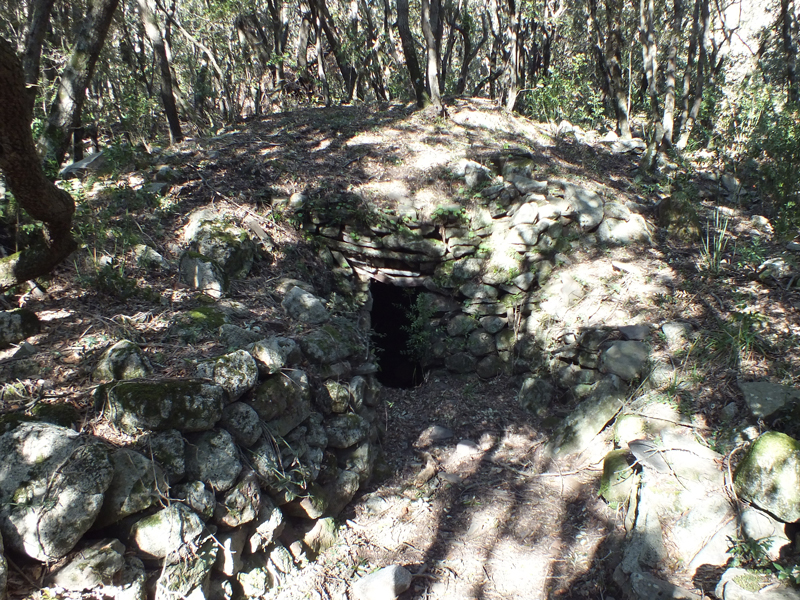 Barraca de volta dels cellerets 