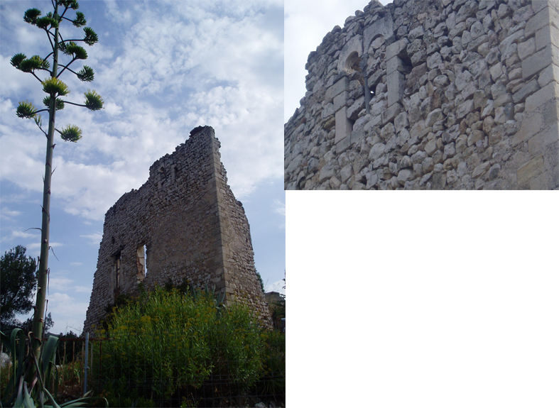 Castell de seguer 