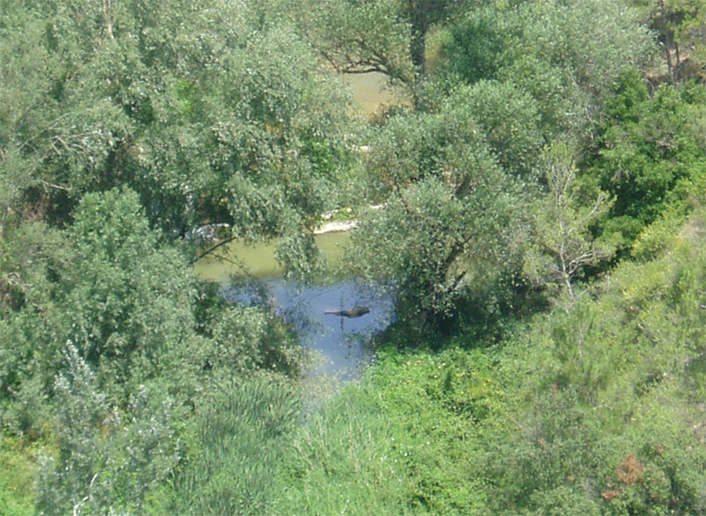 Resclosa de santa perpètua 