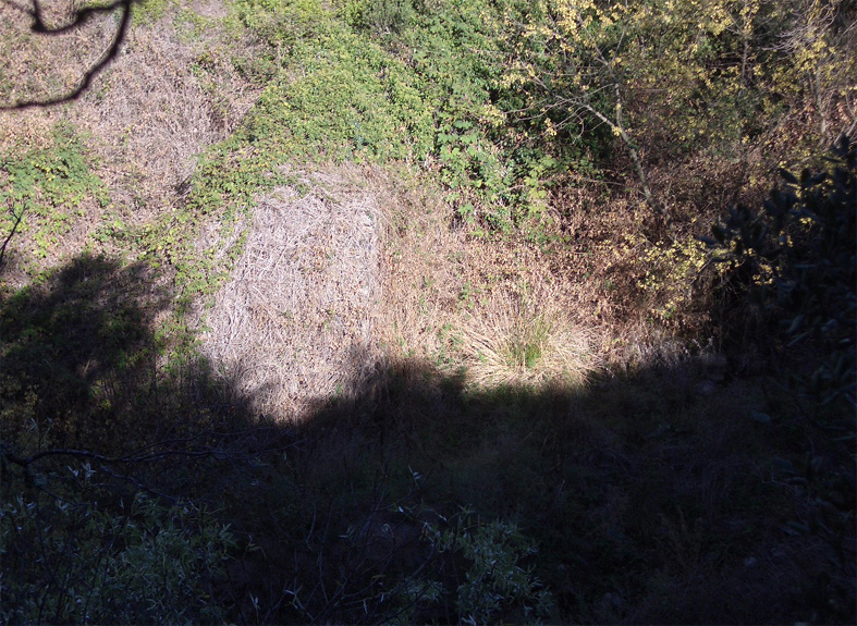 Resclosa del molí del manteta 