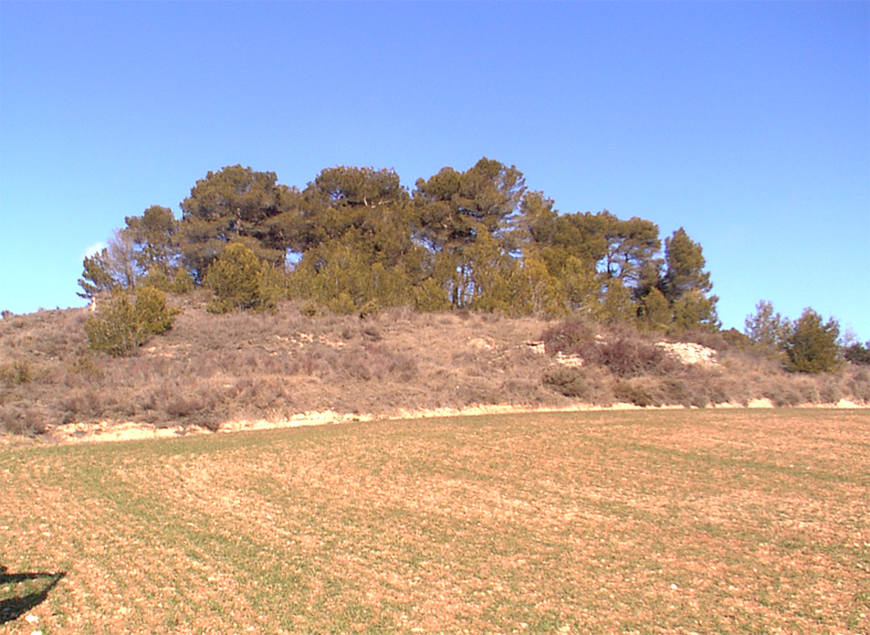 Convent de santa anna 