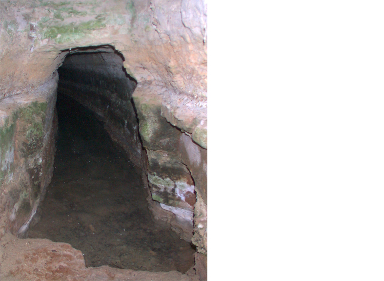 Mina del molí de l'elari 