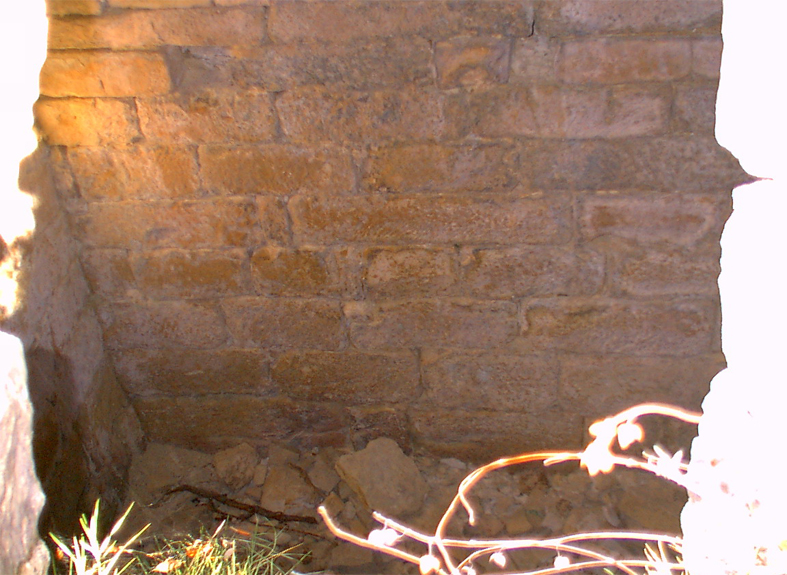 Pou de gel de savella 