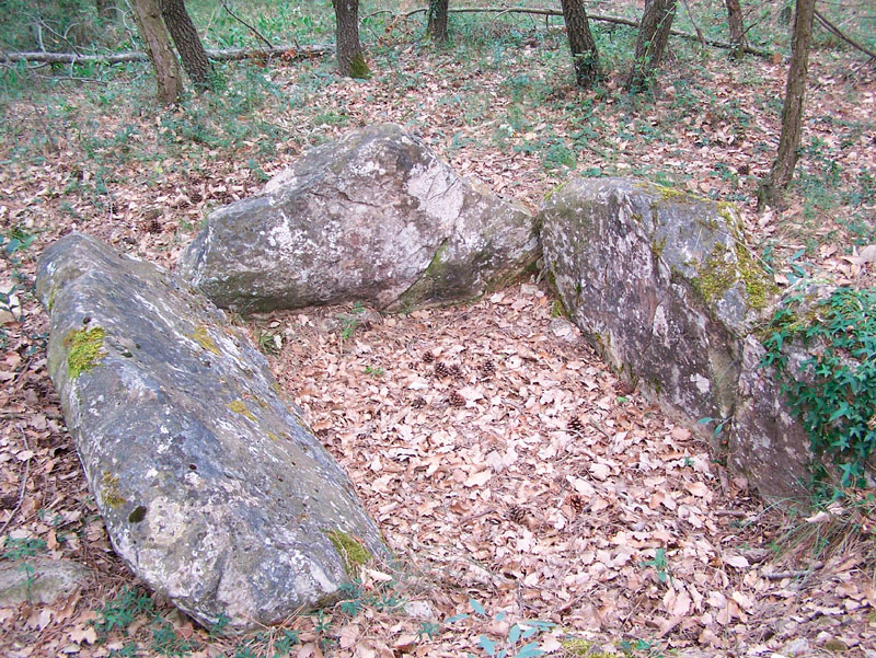 Cista megalítica del pla de la sala 