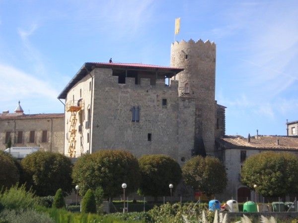 Castell dels comtes 