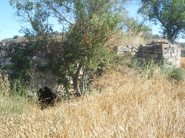 Molí de pocarull, pocorull o pocurull 