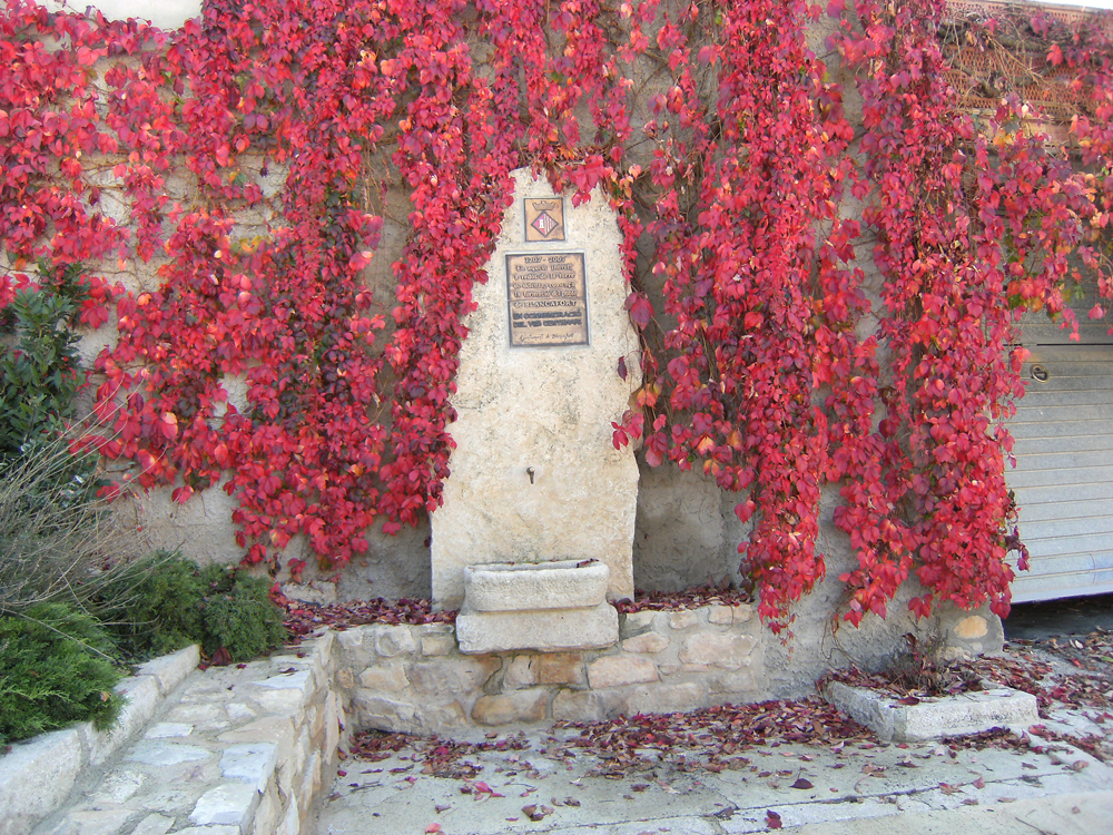 Restes del mur de la vila 