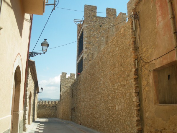 C. muralla d'alfons i   torre 14 