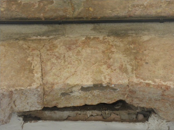 C. major, 15   ca peret 