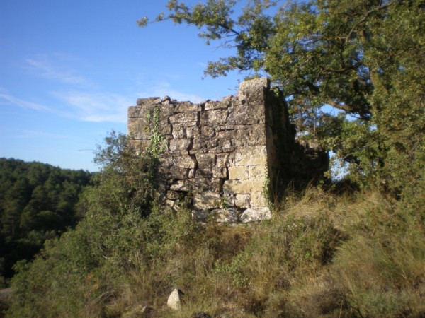 Colomer del mas guixet 