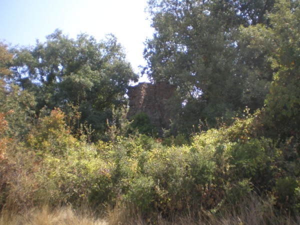 Torre de guaita 