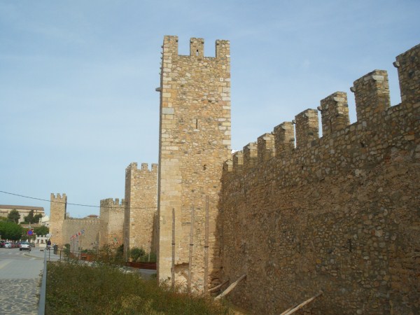 Torre 20, darrere cal cardús 