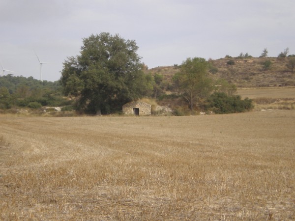 Cabana de pedra o barraca del galo 