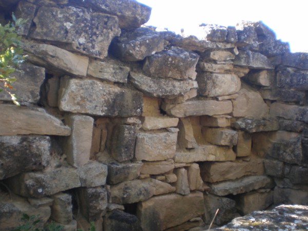 Colomer del mas guixet 