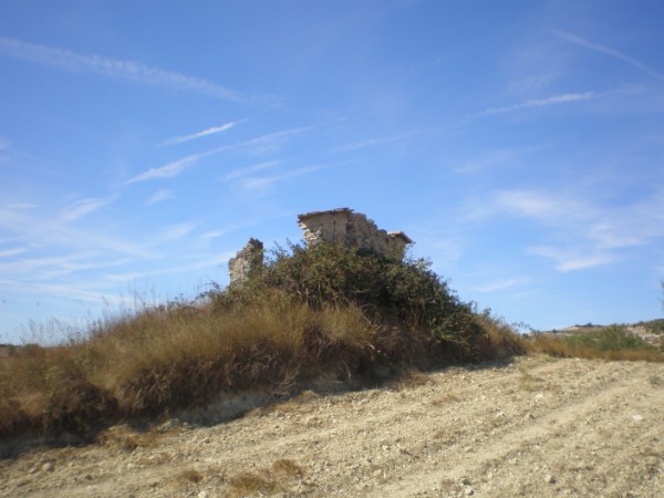 Colomer del camí vell de rauric 