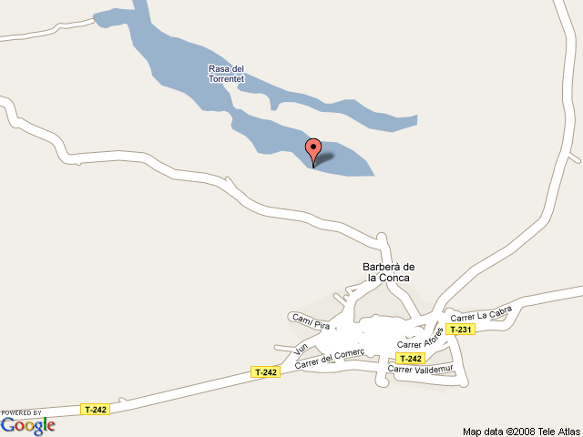 Molí de la canal / guineu 