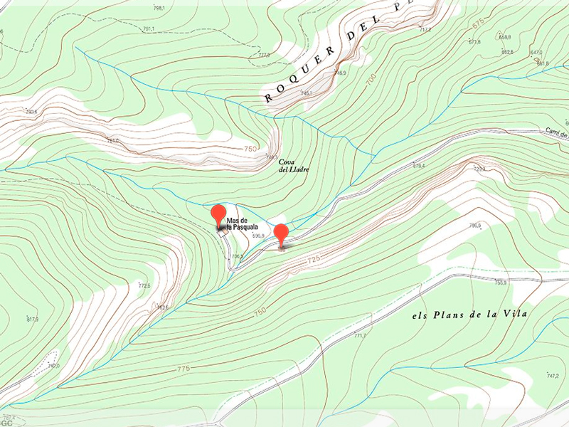 Pous de gel de la pasquala 