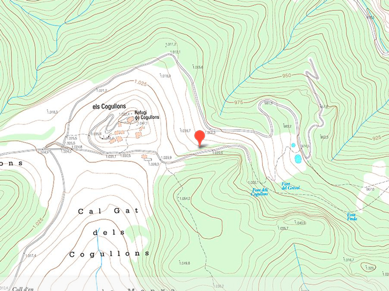 Pou de gel dels cogullons 
