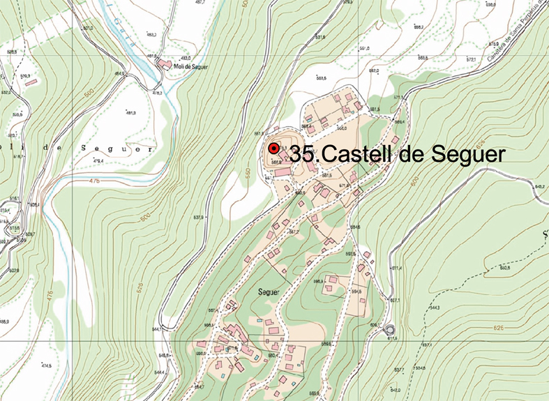 Castell de seguer 