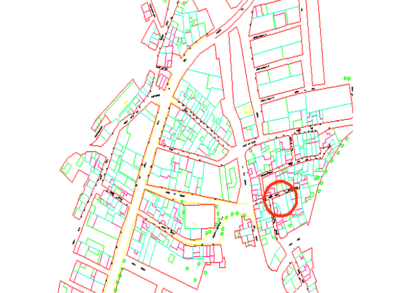 C. doctor robert, 8   cal celdoni 