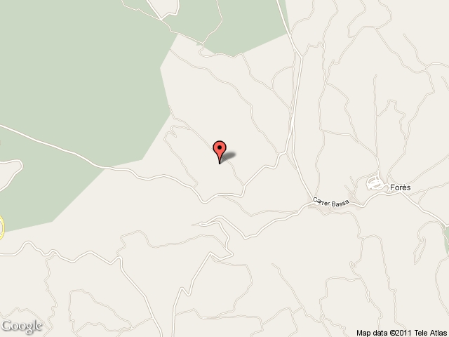 Convent de les monges 