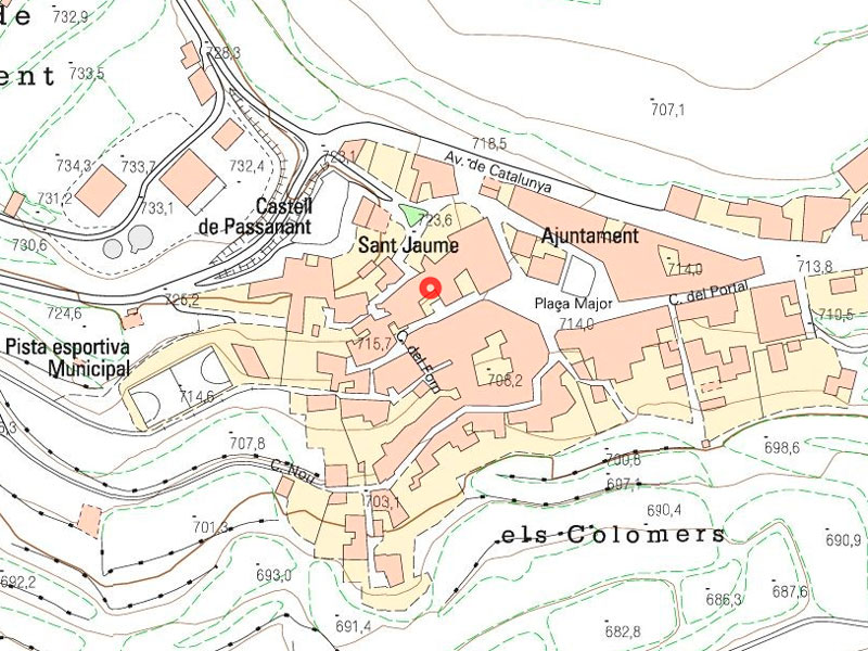 C. de santa maria, 04   ca la bacardina 