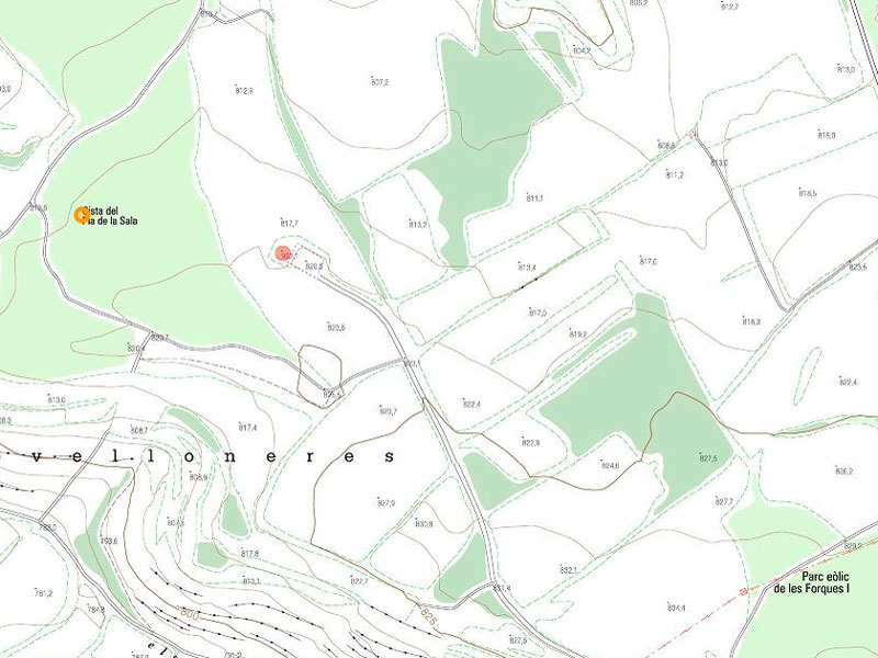 Cista megalítica del pla de la sala 