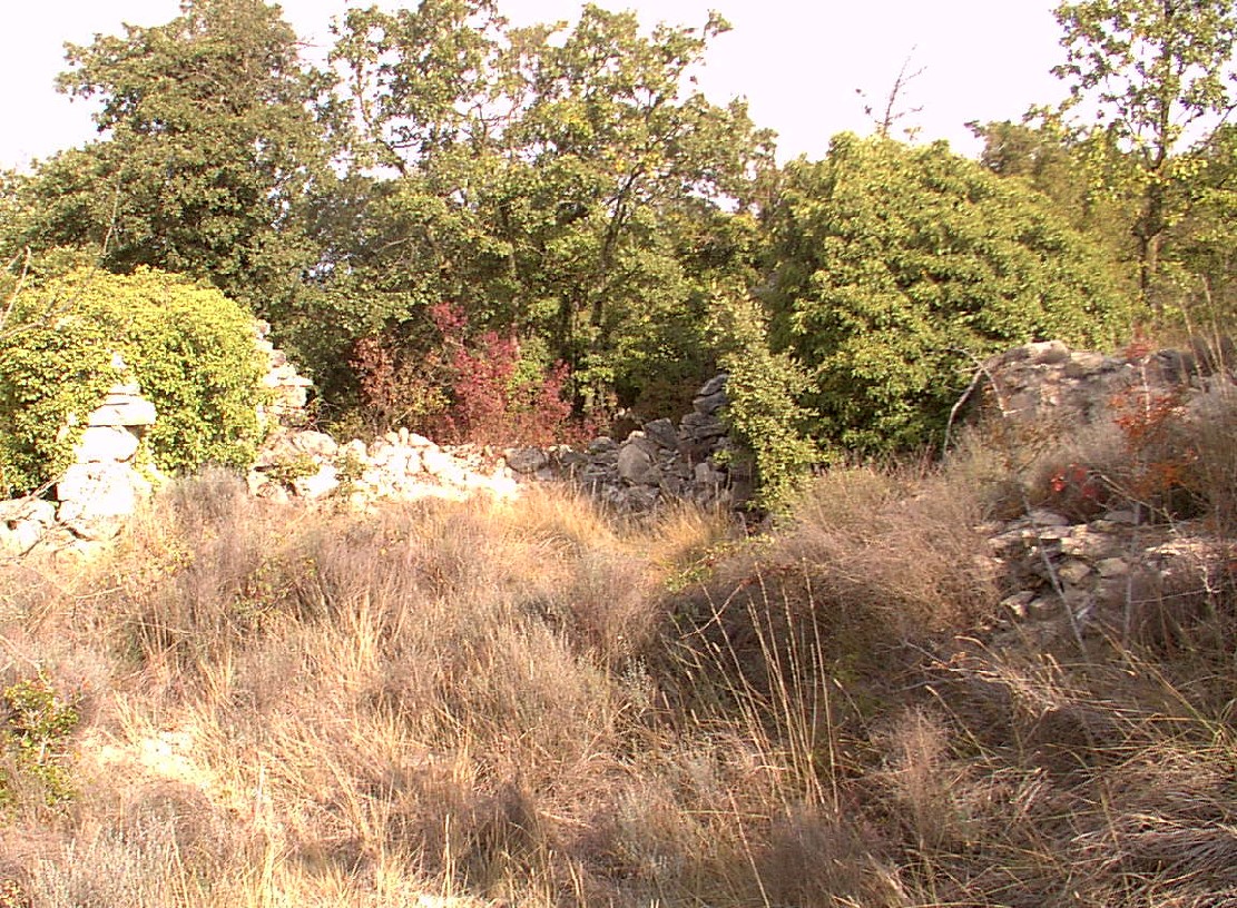 Convent de frares del cister 