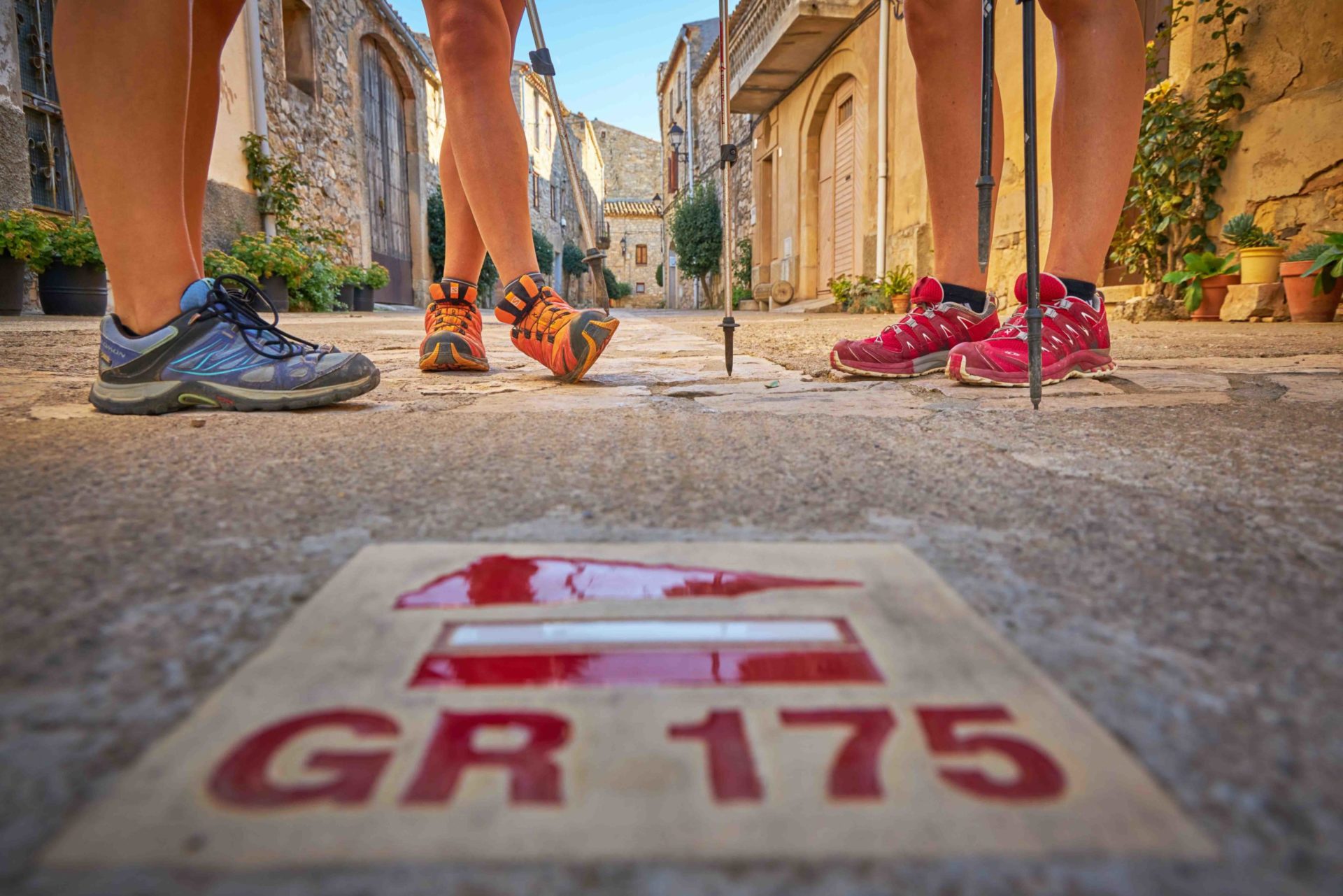 Creació del recorregut intercomarcal i interprovincial, gr175 la ruta del cister a peu i en btt, com a producte turístic