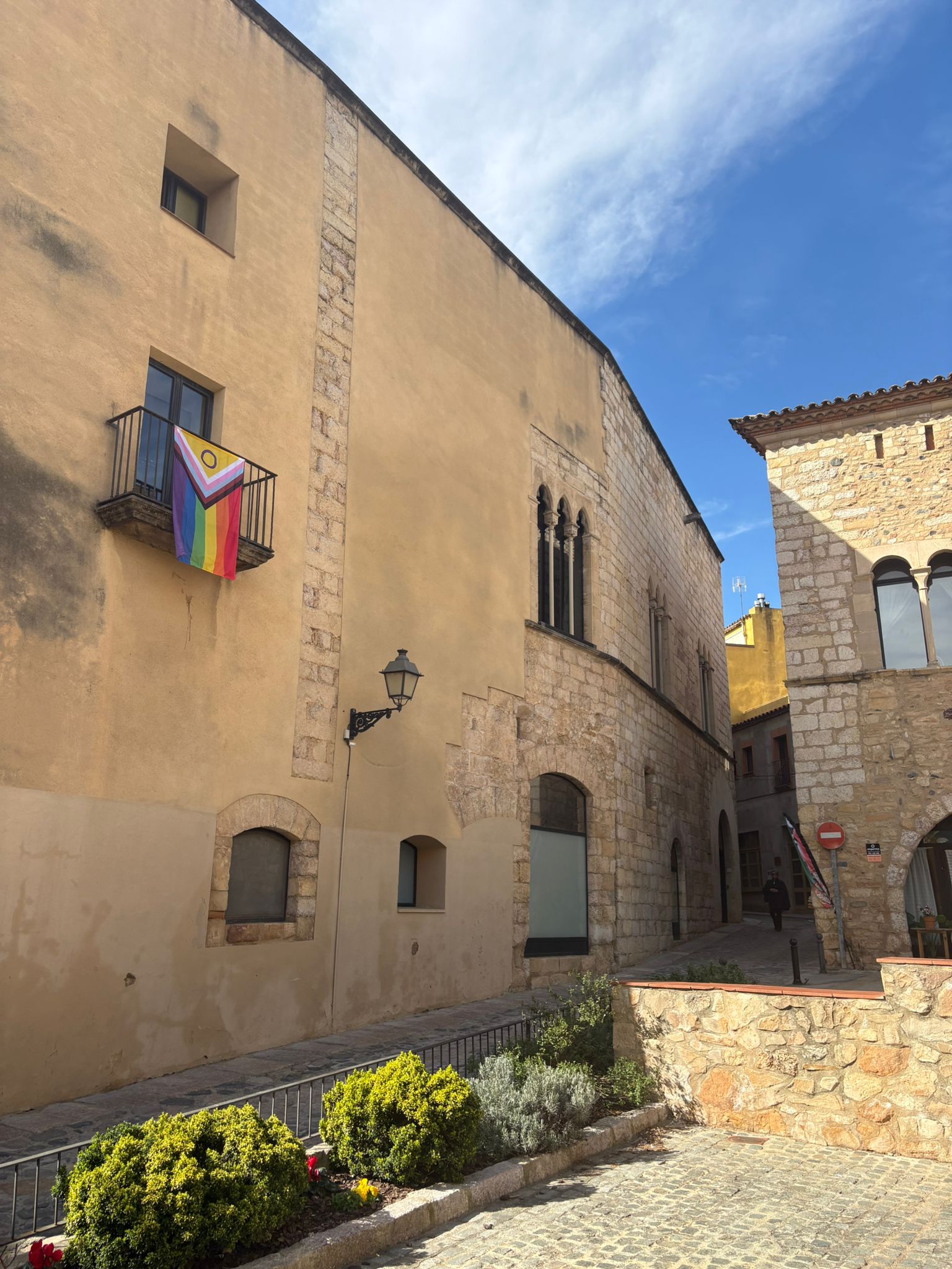 La conca de barberà impulsa una pancarta comarcal pel 19f, dia internacional contra l’lgbti fòbia en l’esport1.jpeg