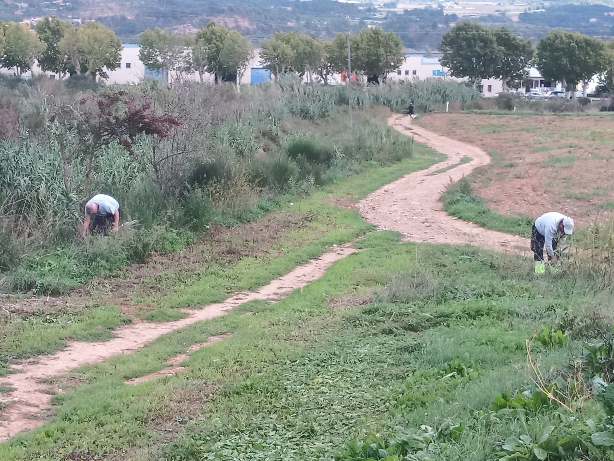 Concactiva inicia el nou programa de treball i formació promogut pel servei d'ocupació de catalunya amb la contractació de 8 persones