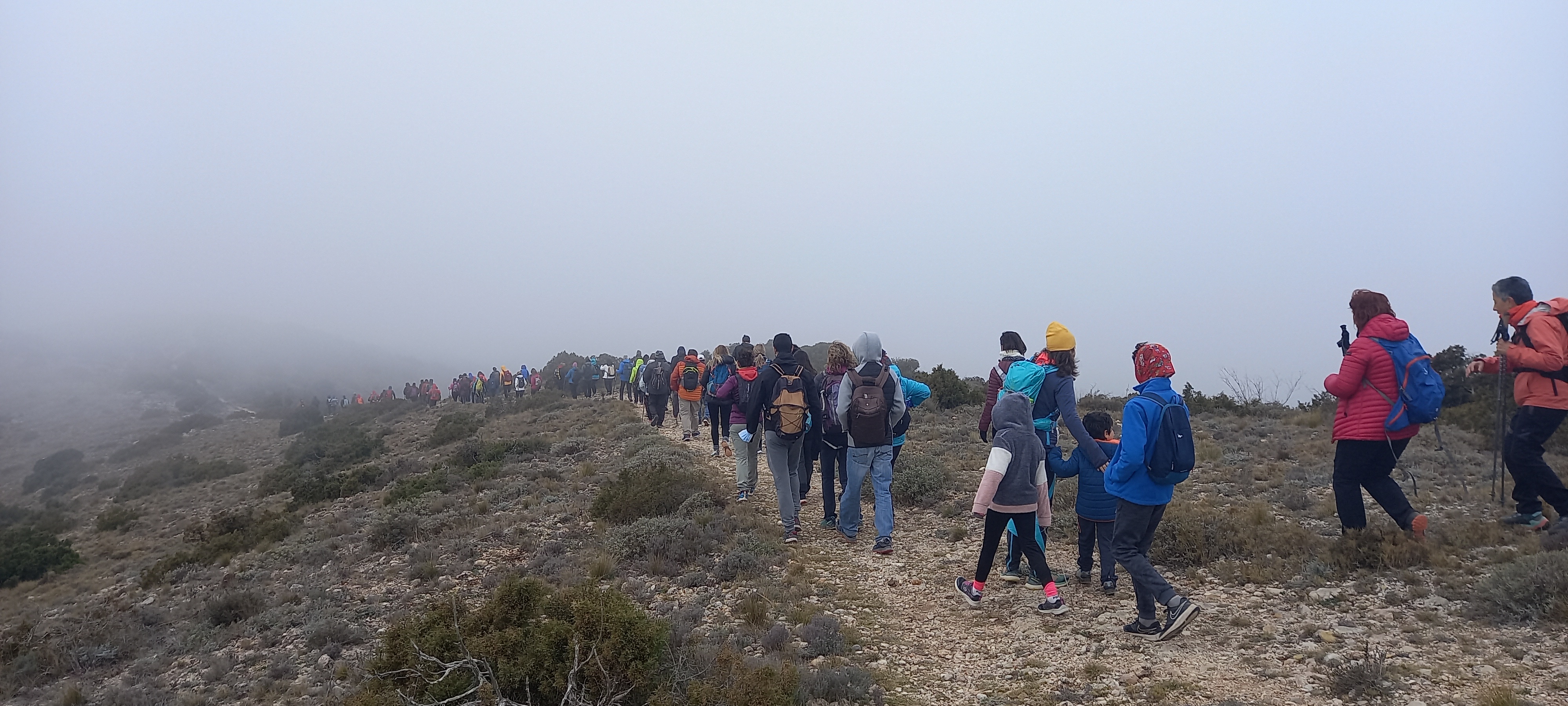 Obertes les inscripcions en totes les activitats del #tombalaconca22