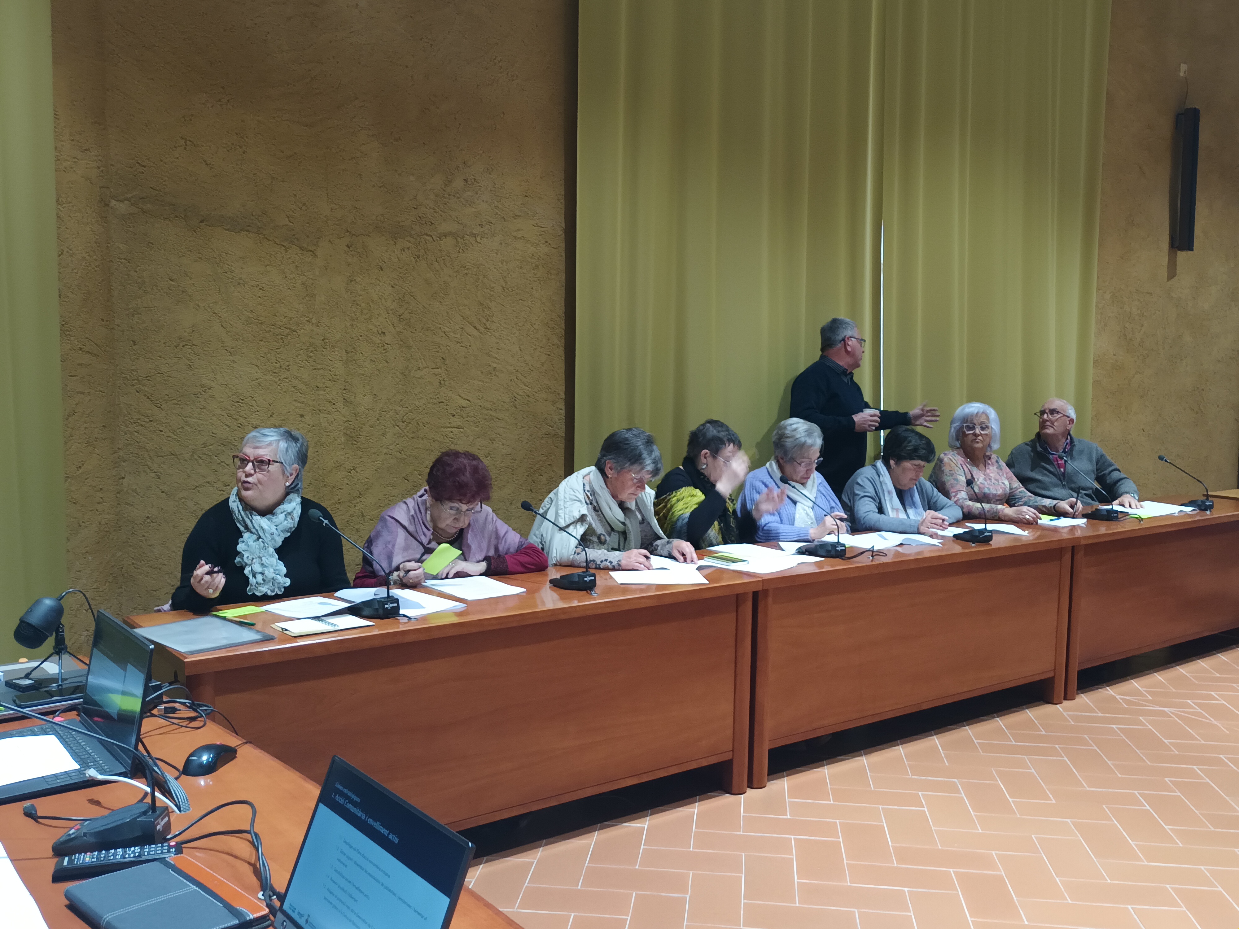 El consell consultiu comarcal de la gent gran continua treballant les possibles actuacions a desenvolupar dins del pla d'envelliment quilòmetre zero de la comarca