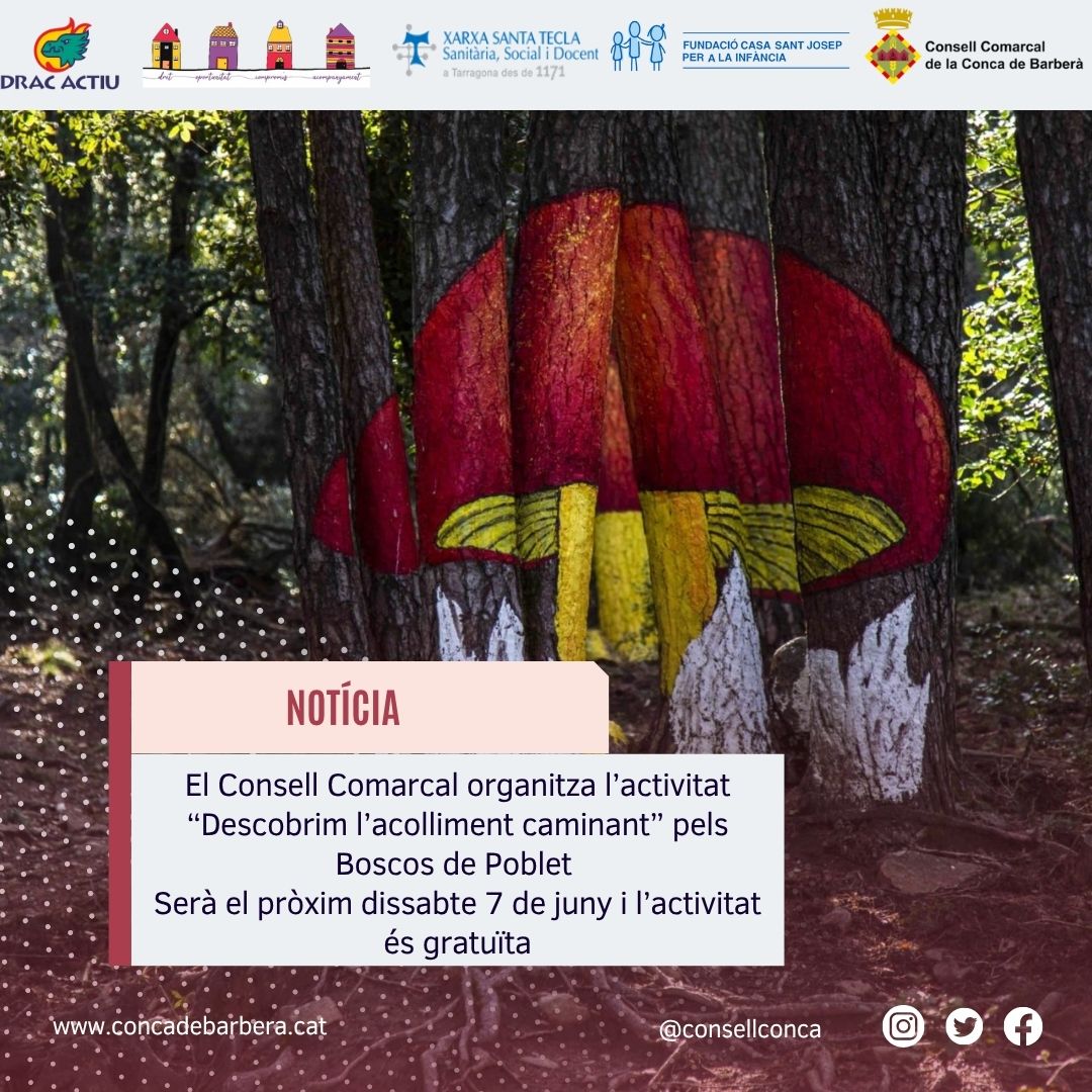 El consell comarcal organitza l’activitat “descobrim l’acolliment caminant” pels boscos de poblet