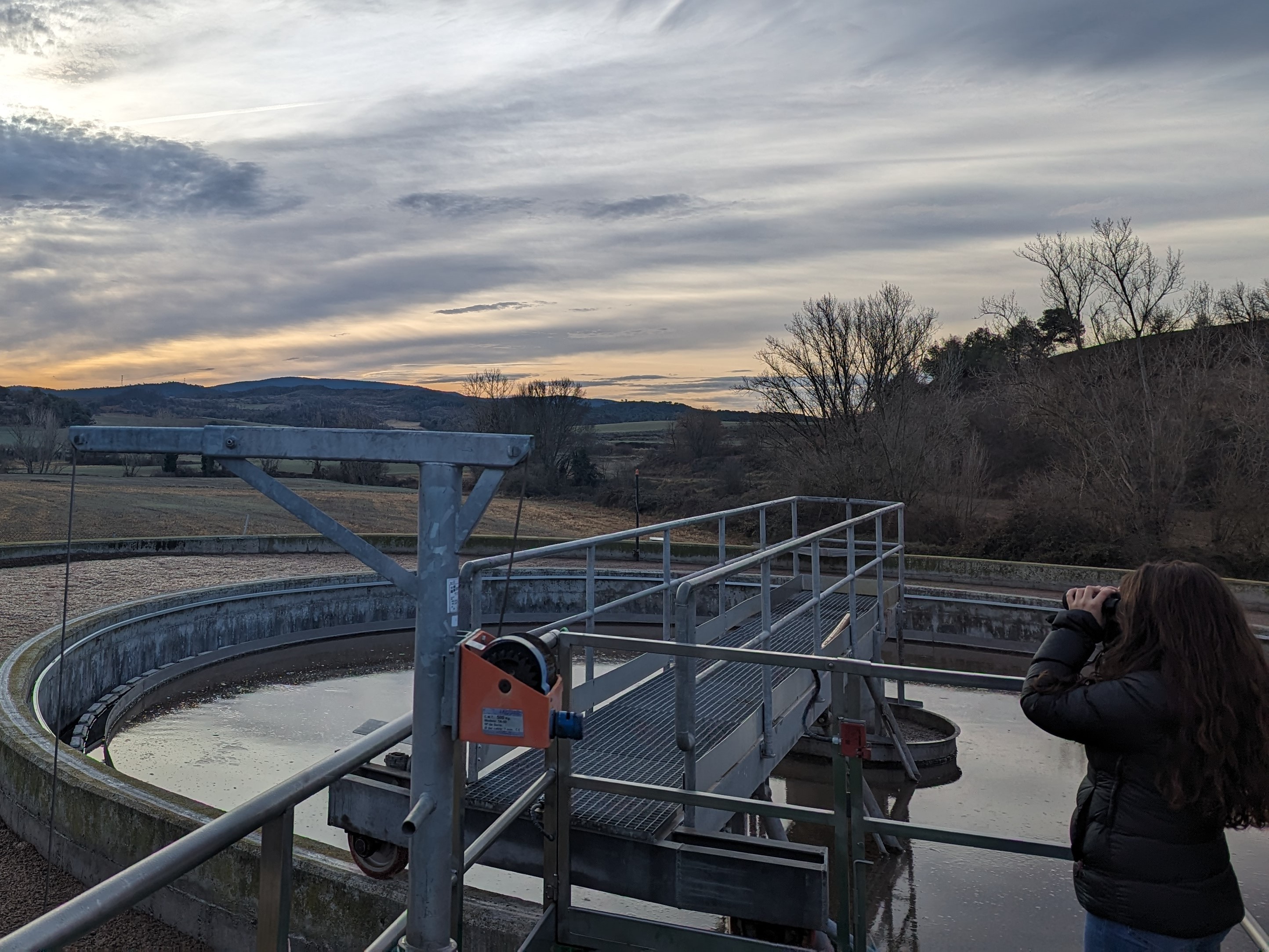 El servei de medi ambient participa en el projecte de voluntariat ambiental biobserva per la conservació de la biodiversitat a les edar's de la conca de barberà